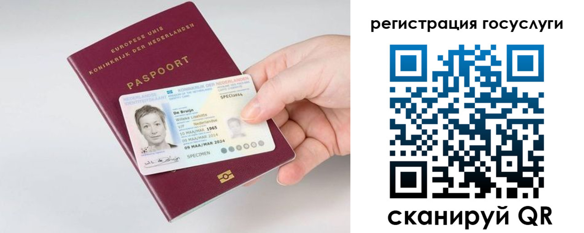 регистрация для дет. сада в Батайске